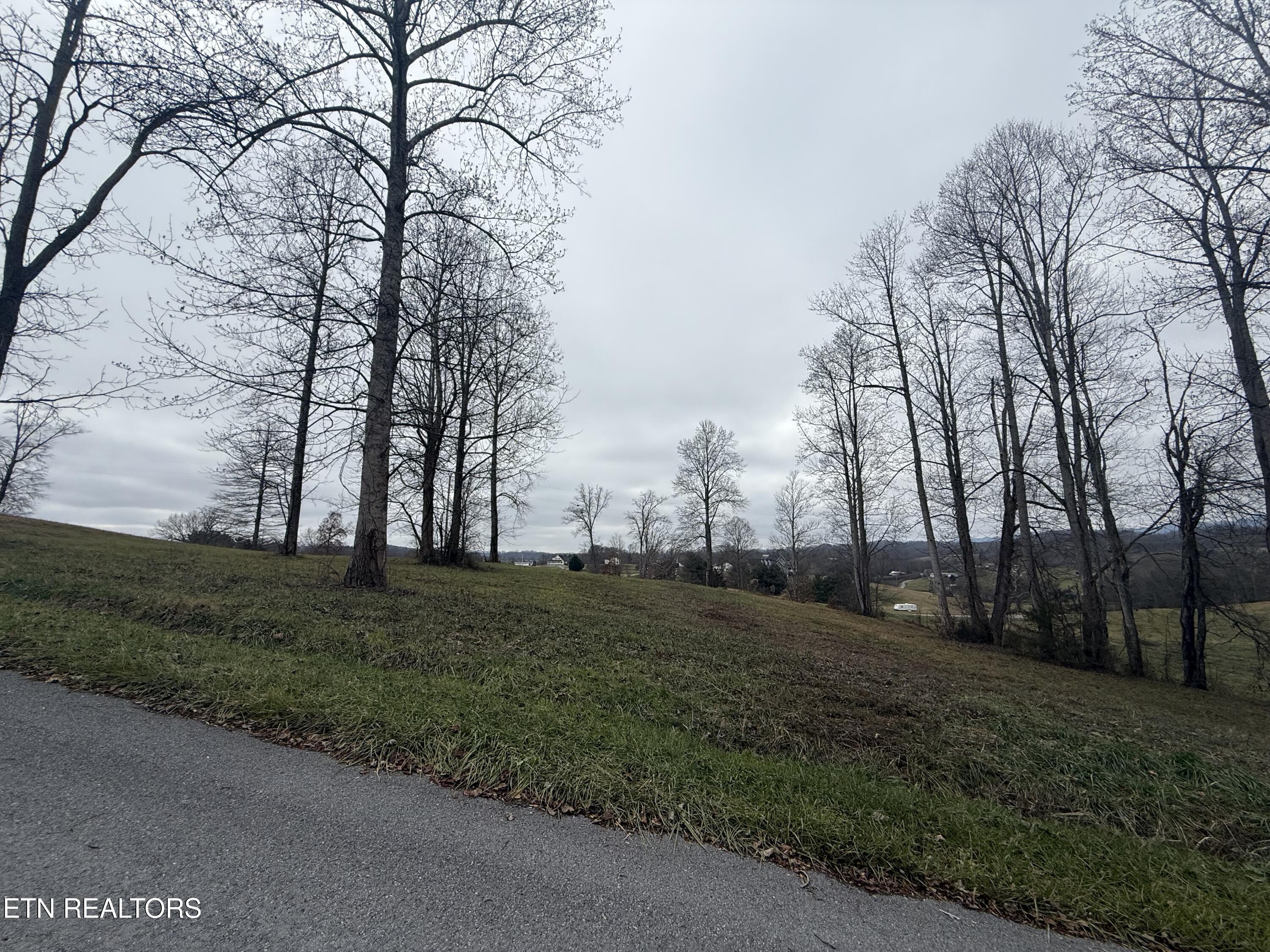 Image 4: IMG_3416