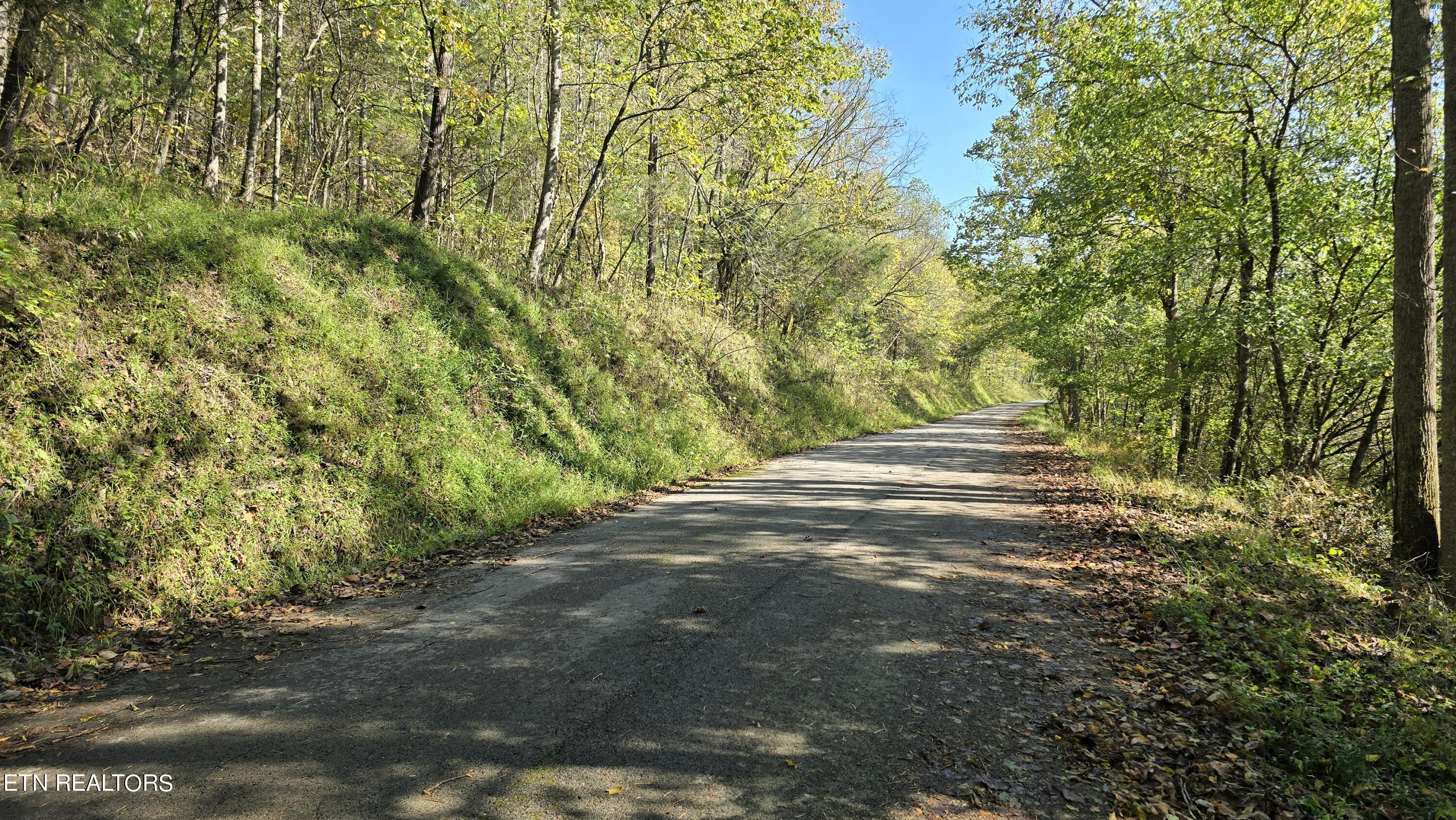 Image 1: Property on left