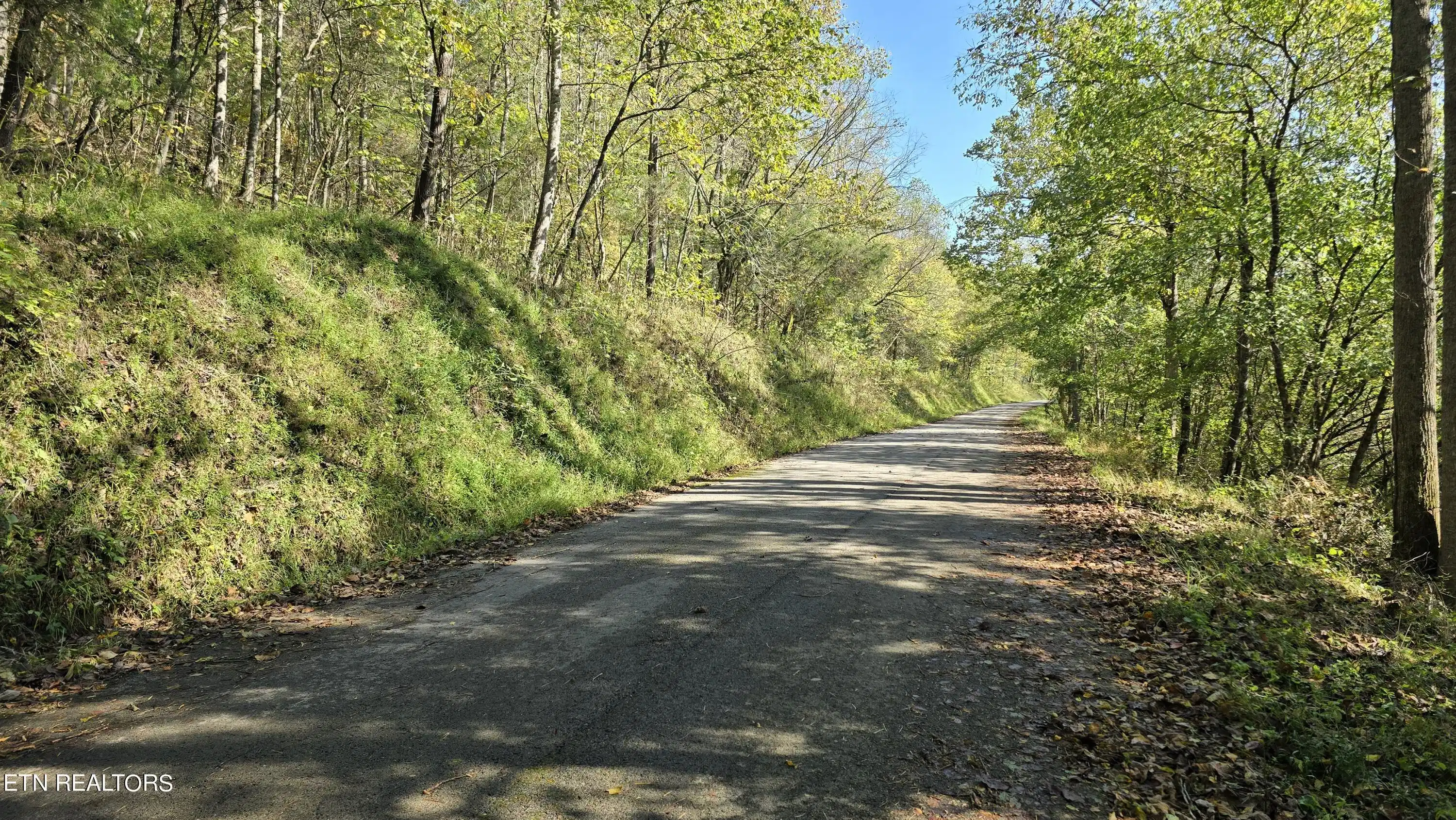 Image 1: Property on left