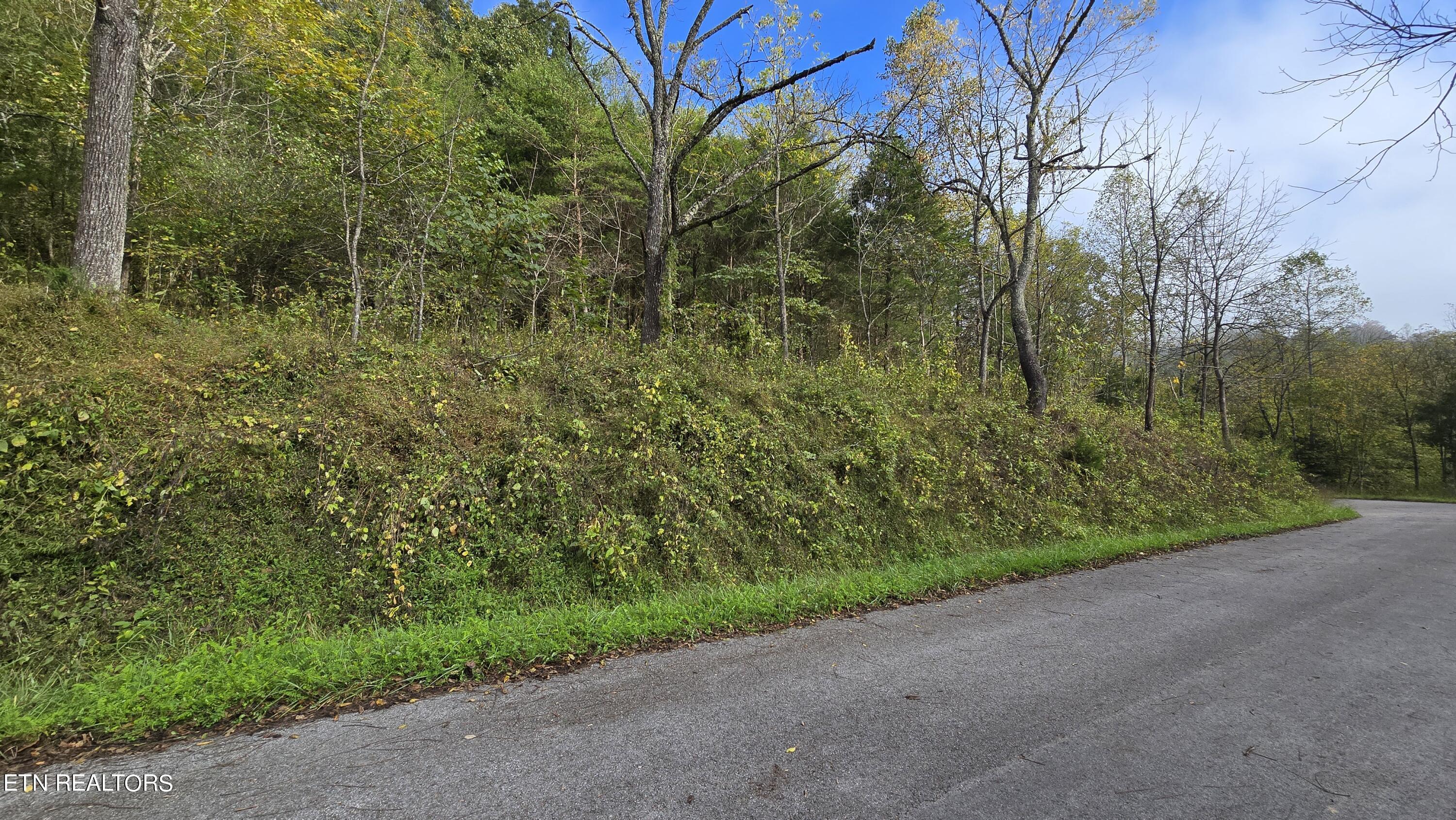 Image 3: Property on left