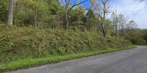 Image 3: Property on left