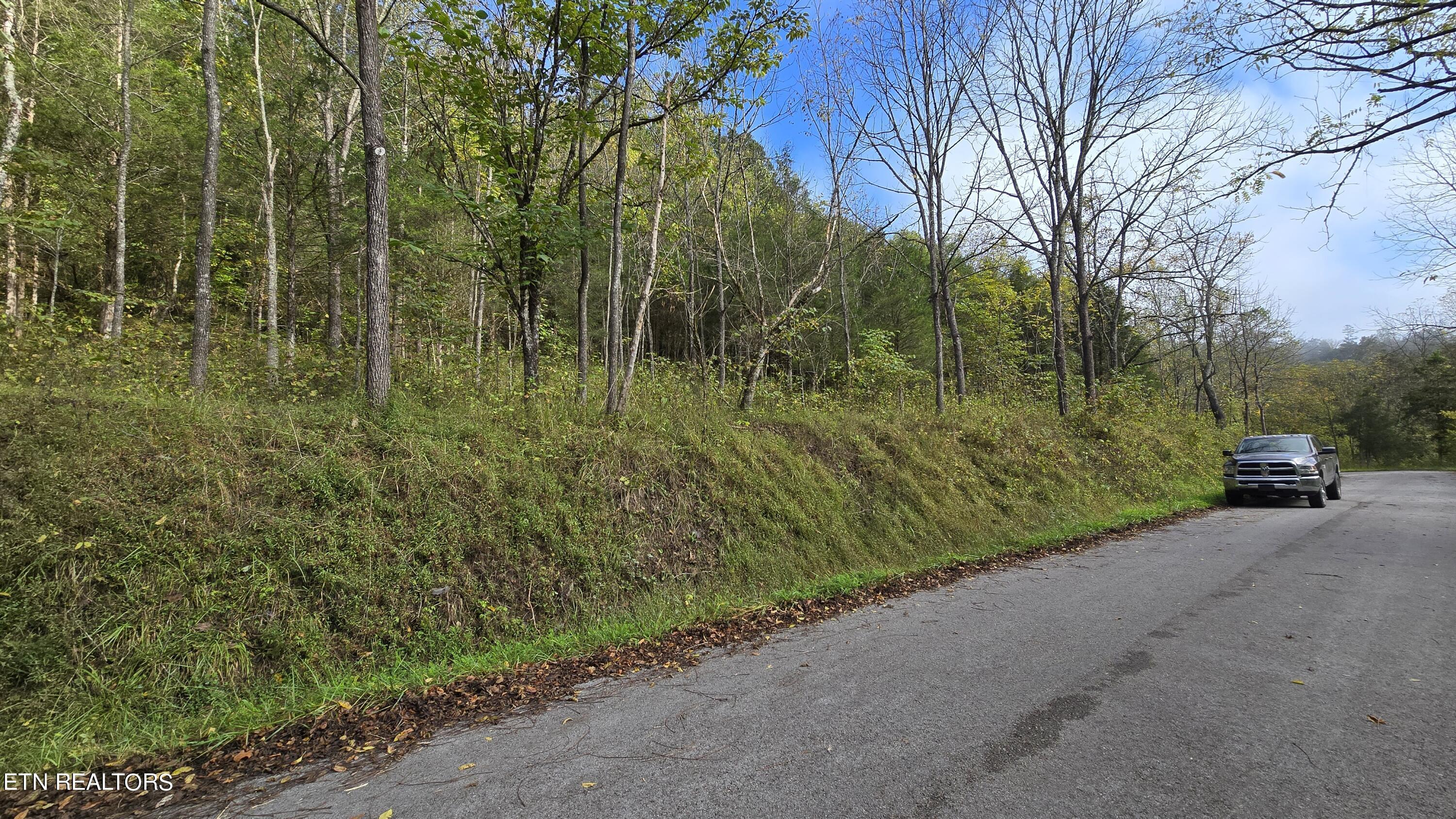 Image 4: Property on left
