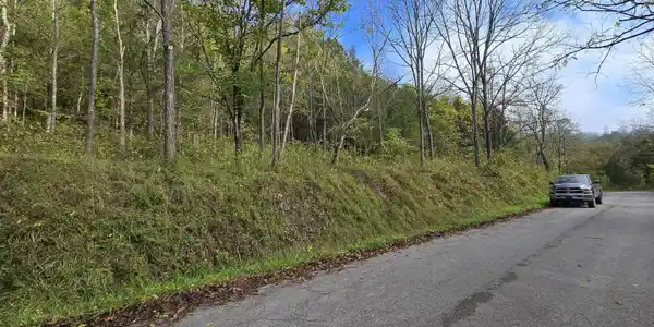Image 4: Property on left