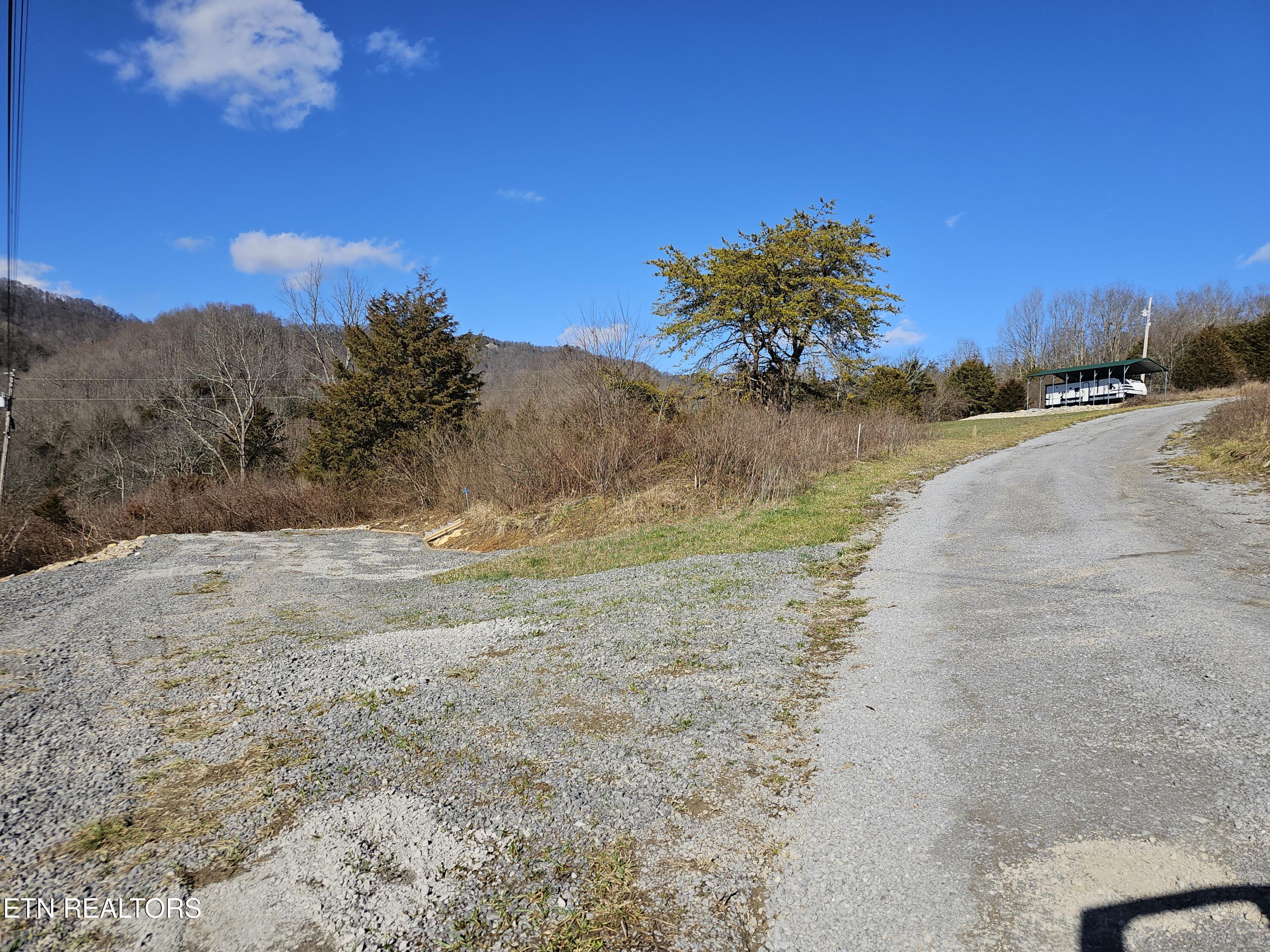 Image 3: 20240213_152418
