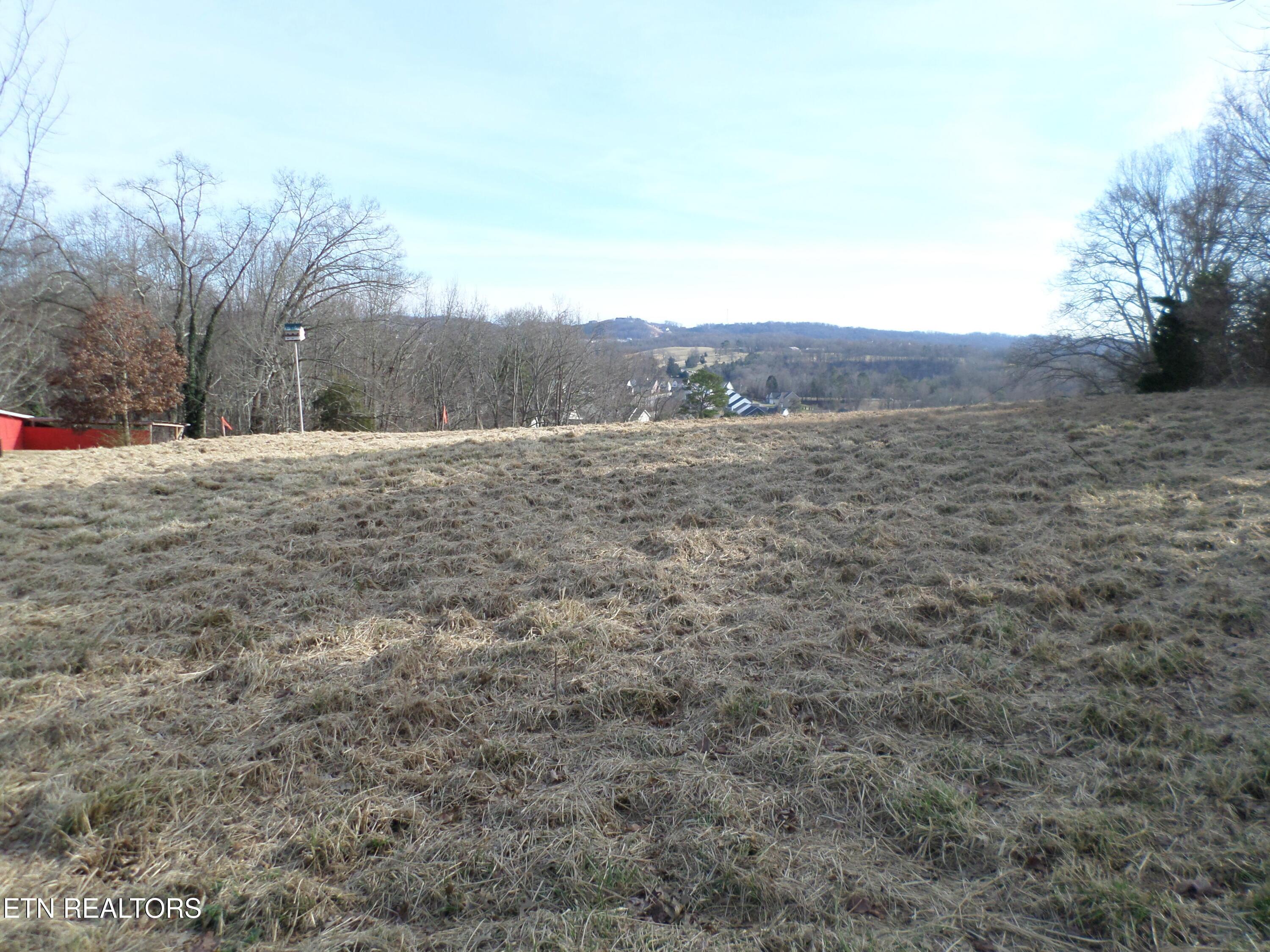 Image 2: SAM_1856