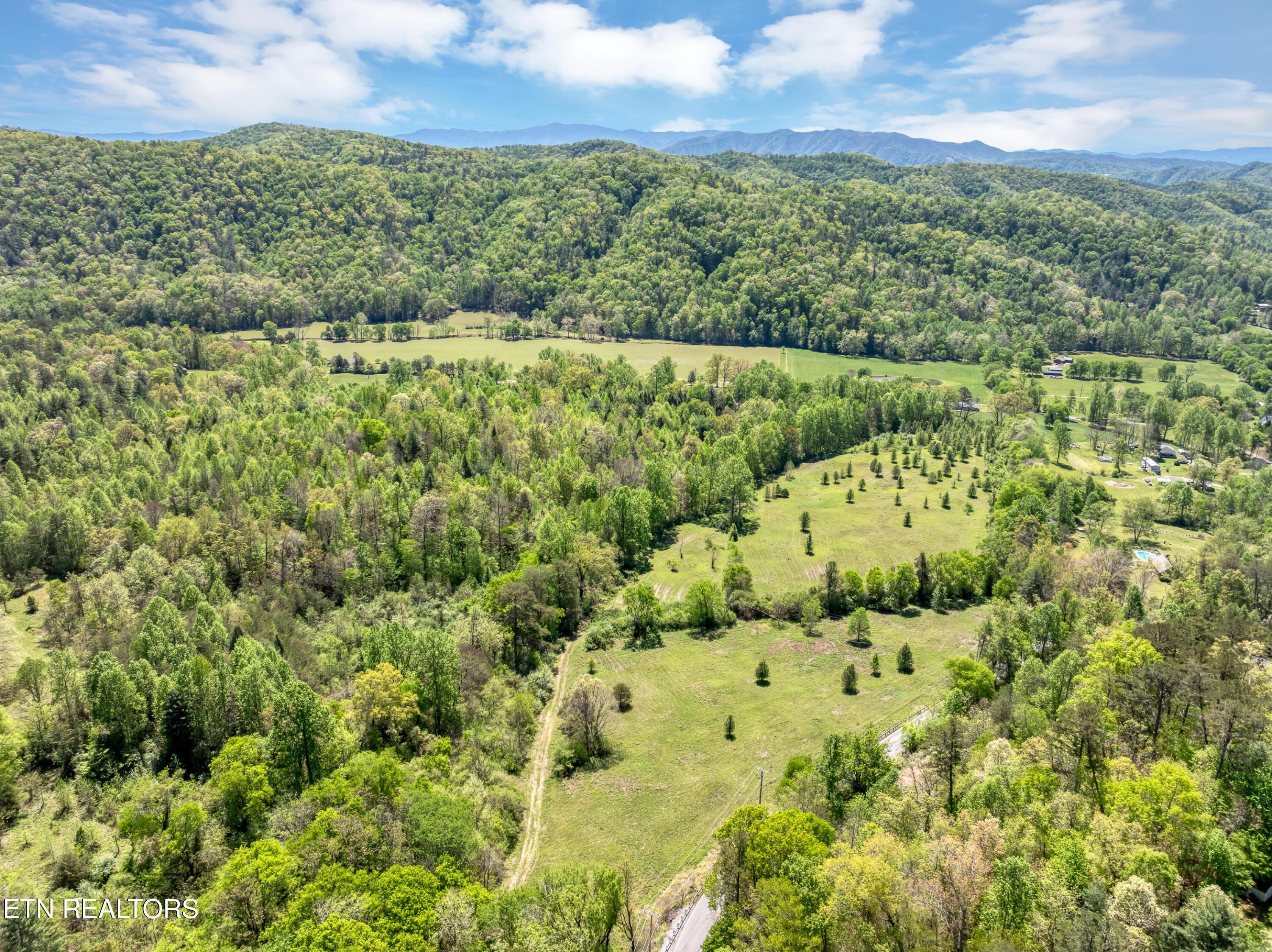 Image 2: Lot 1