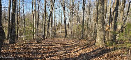 16 Acres Upper Crab Rd