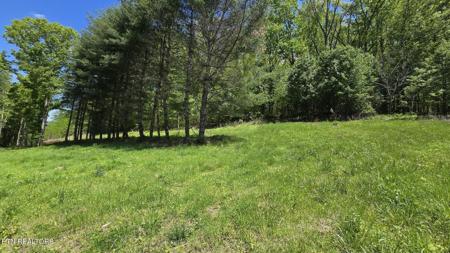 Tracts 1-3 Dooley Hollow  Rd