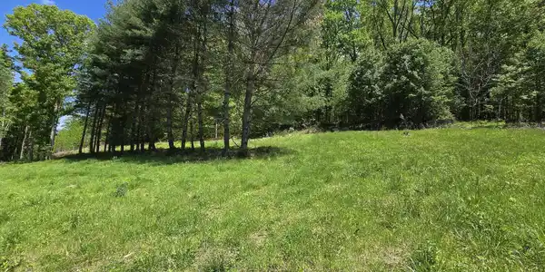 Tracts 1-3 Dooley Hollow  Rd