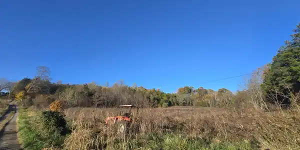 Haley Rd