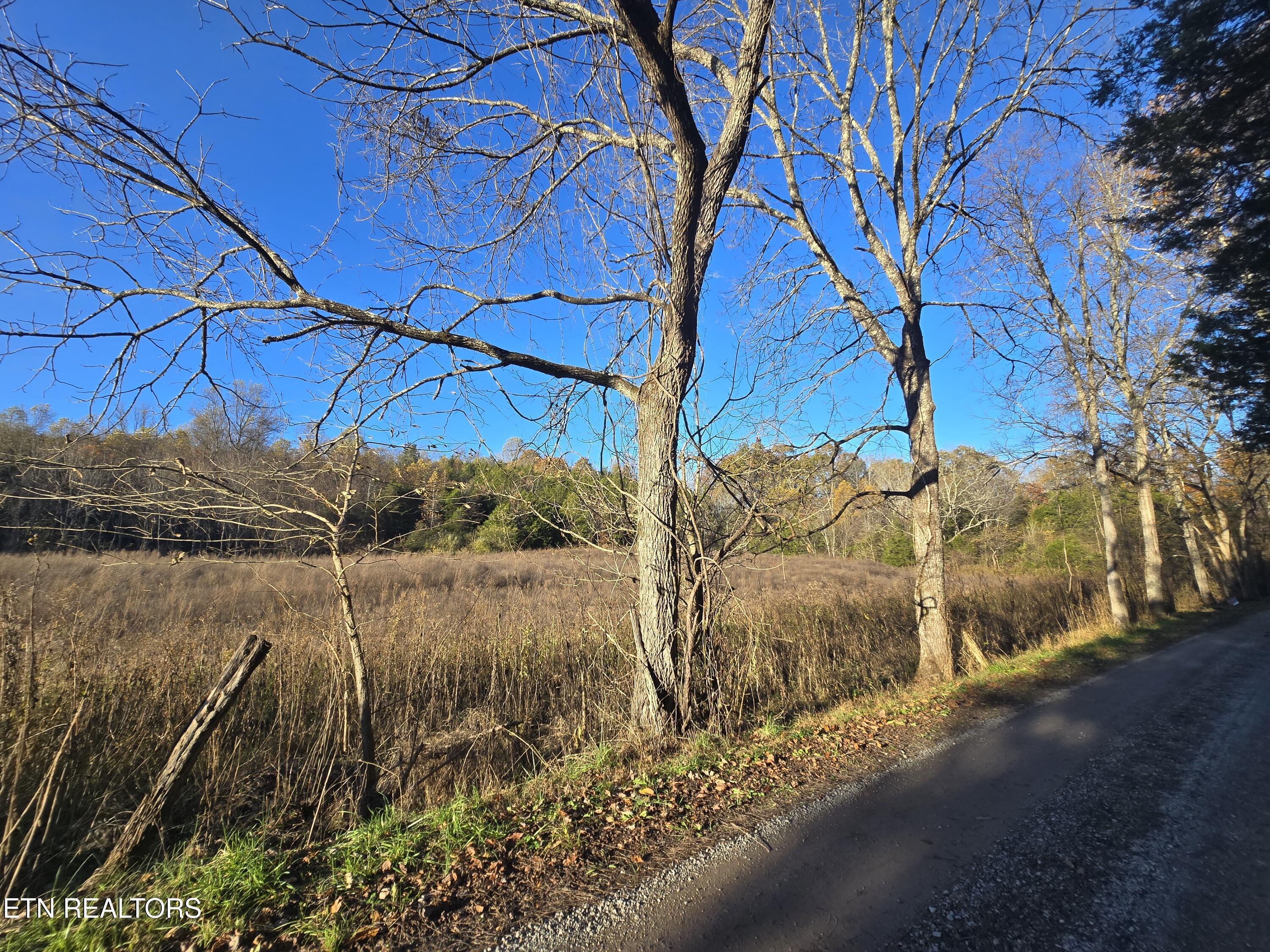Image 3: 20251103_161824