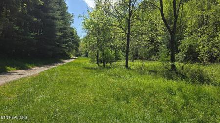 Tracts 4,5,6 Dooley Hollow Rd