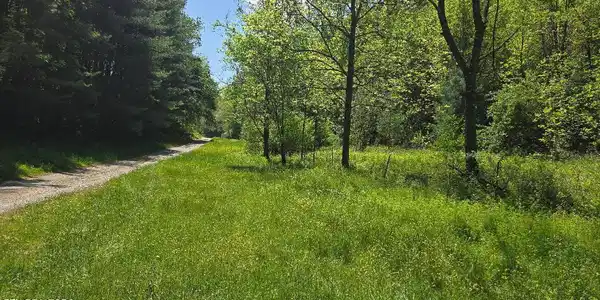 Tracts 4,5,6 Dooley Hollow Rd