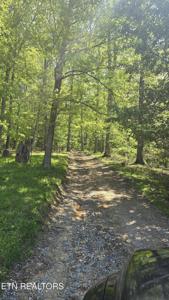 Tract 7 Dooley Hollow Rd