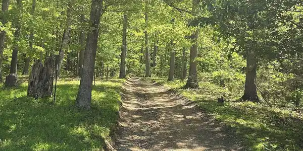 Tract 7 Dooley Hollow Rd