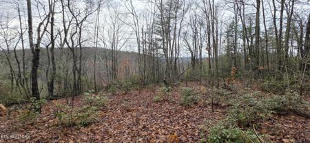 778 Eastridge Pass