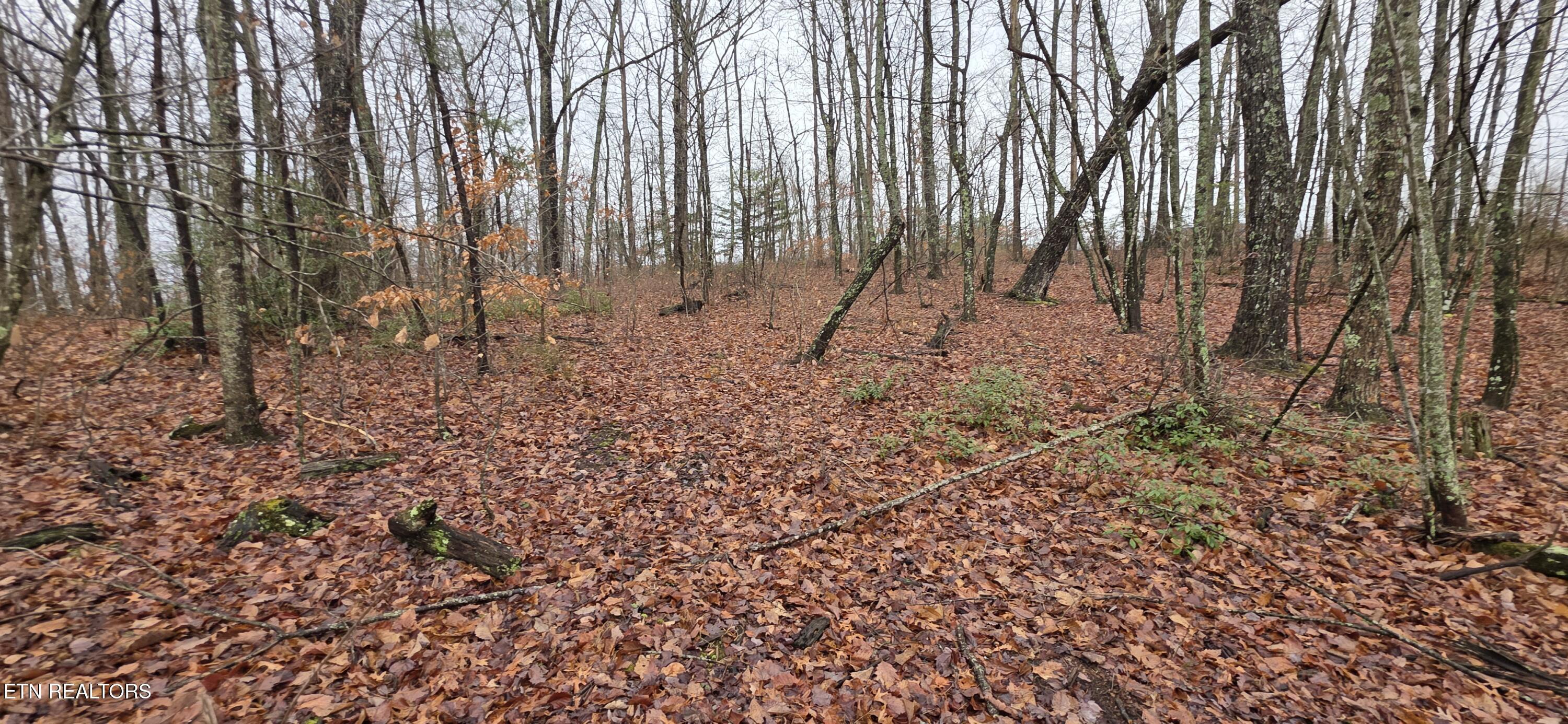 Image 3: 20260109_130025