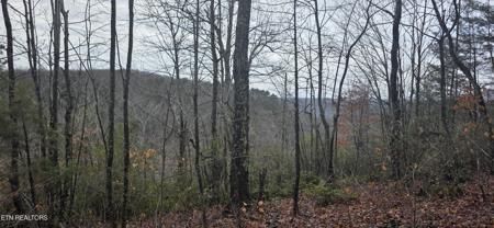 786 Eastridge Pass