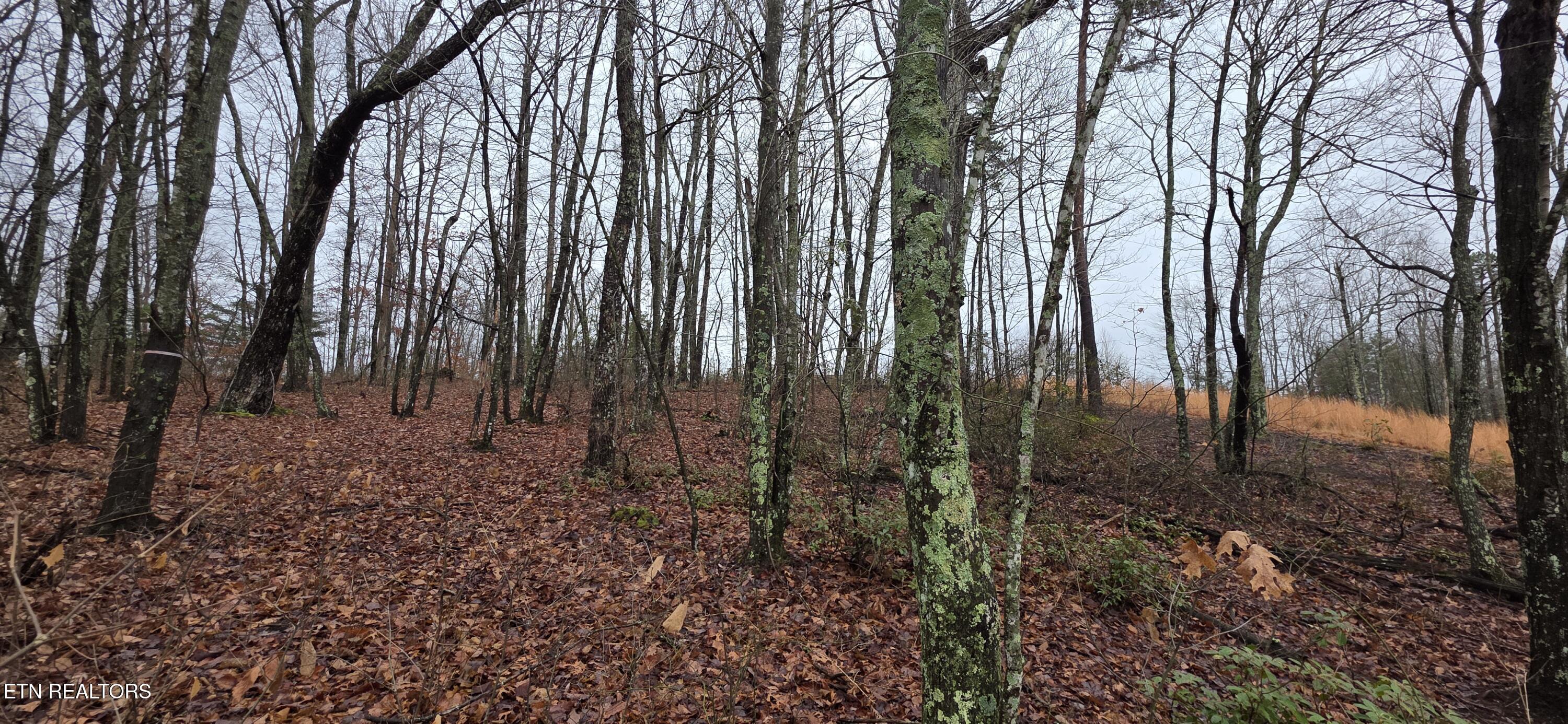 Image 3: 20260109_130050