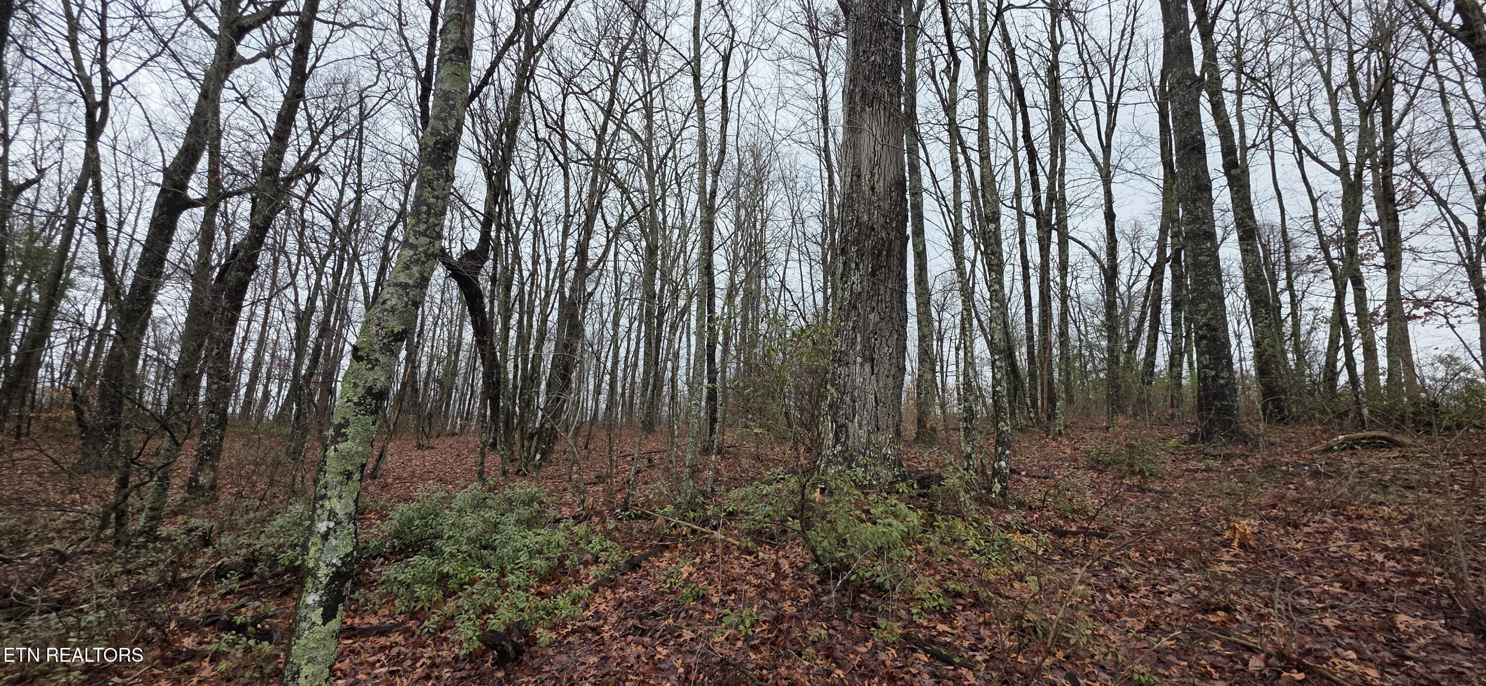 Image 4: 20260109_130114