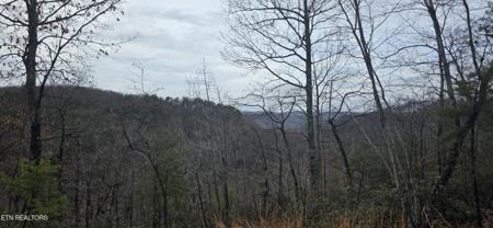 794 Eastridge Pass