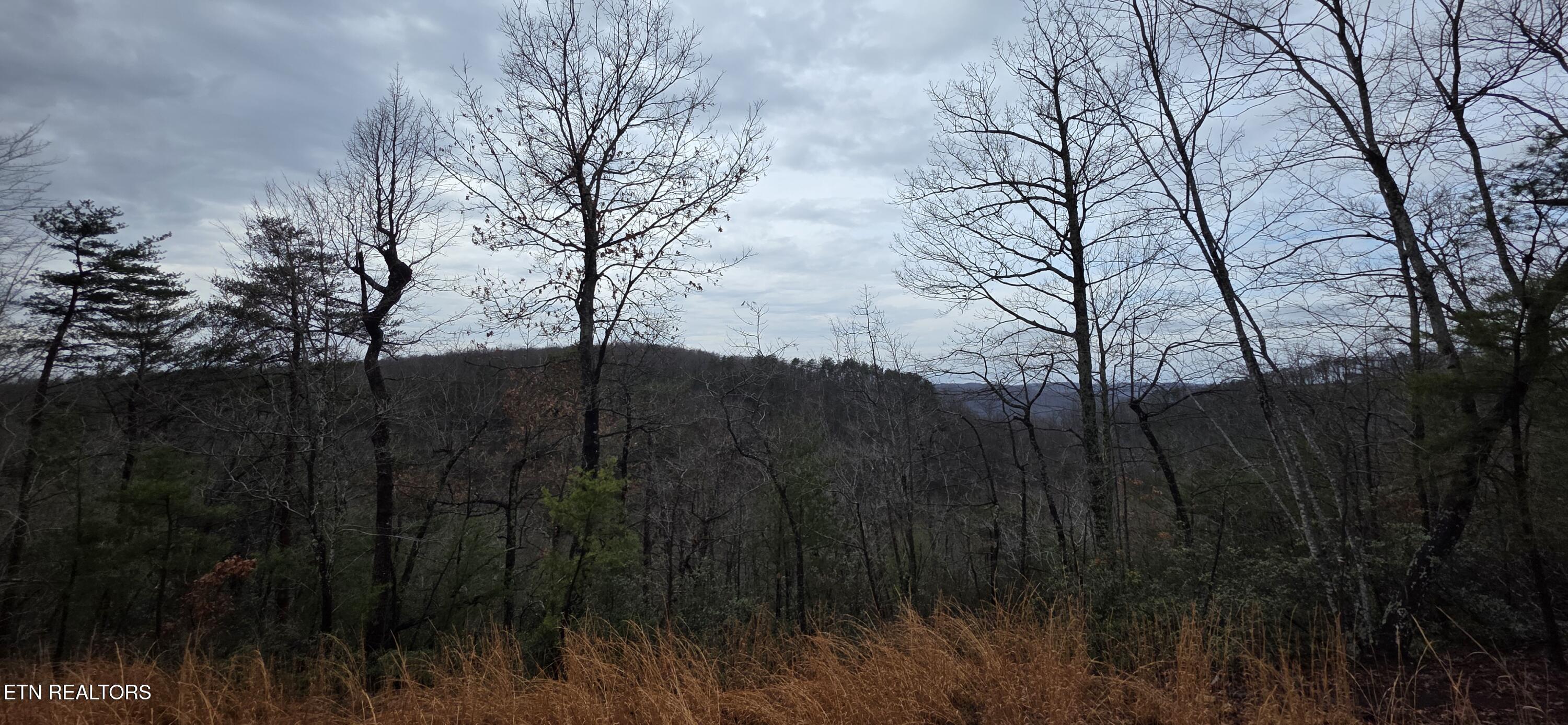 Image 2: 20260109_130138