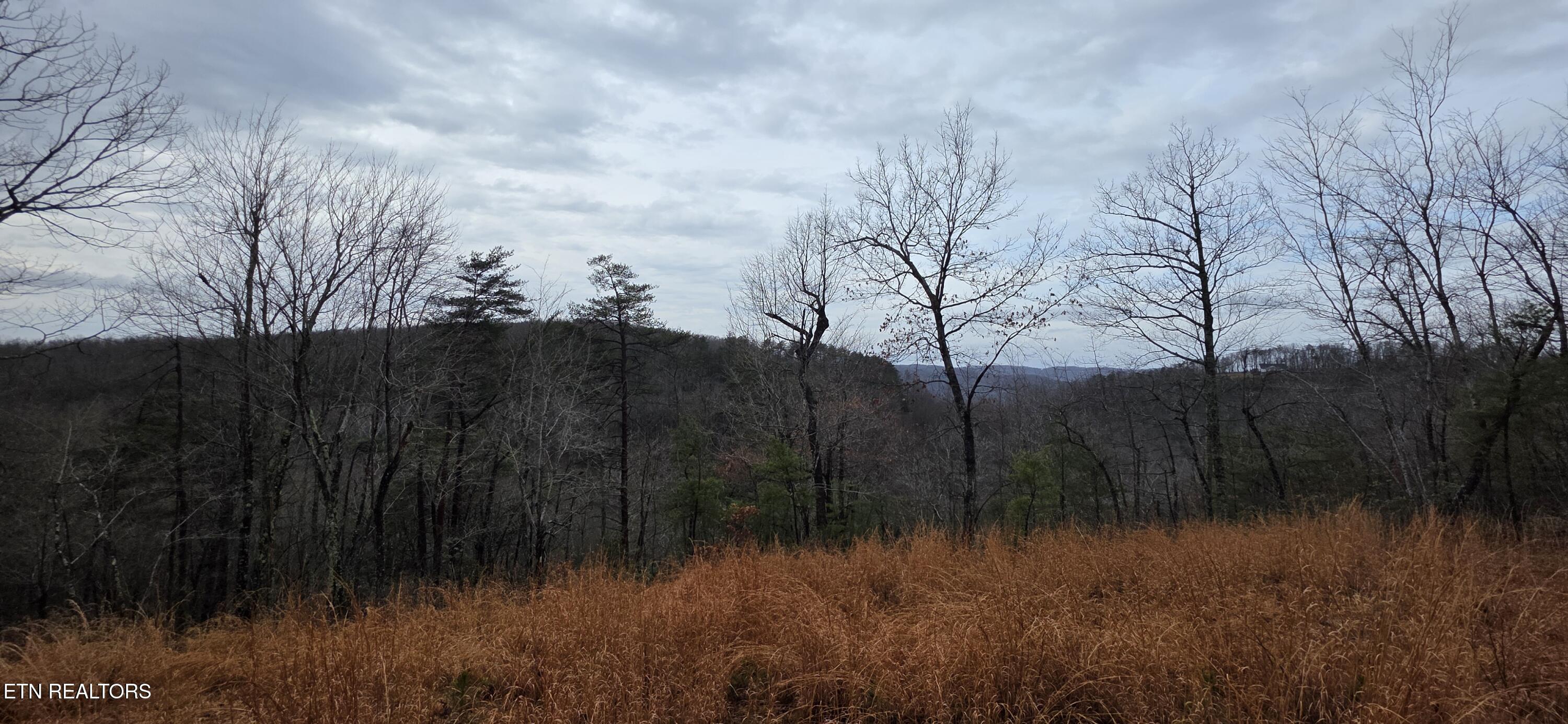 Image 3: 20260109_130201