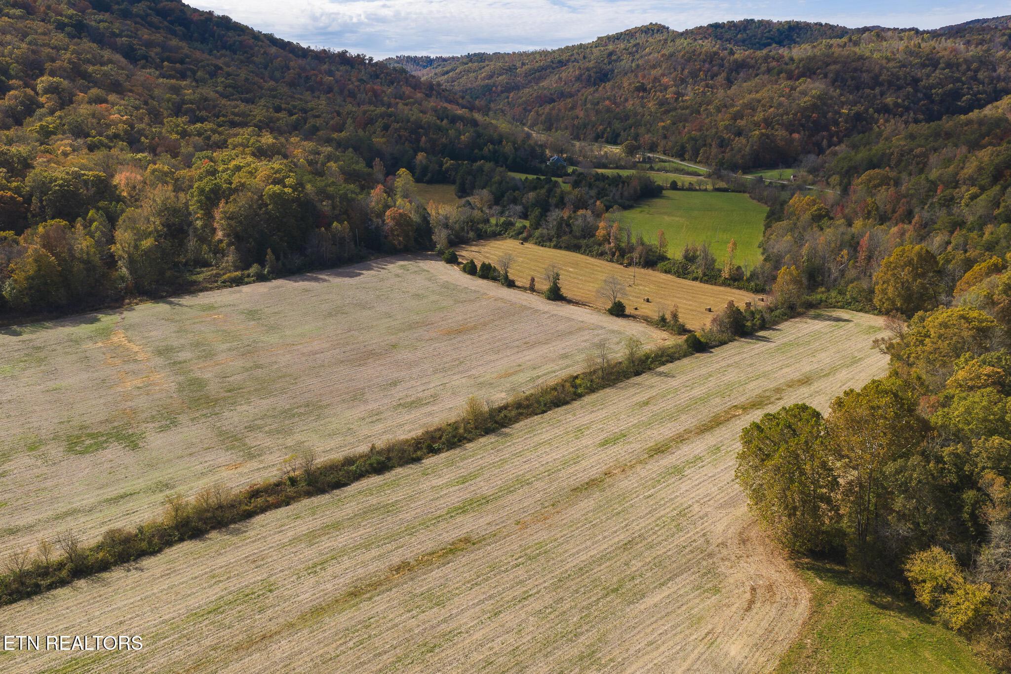 Image 4: DJI_20251025143430_0040_D