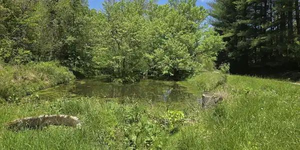 Tract 8 Dooley Hollow Rd