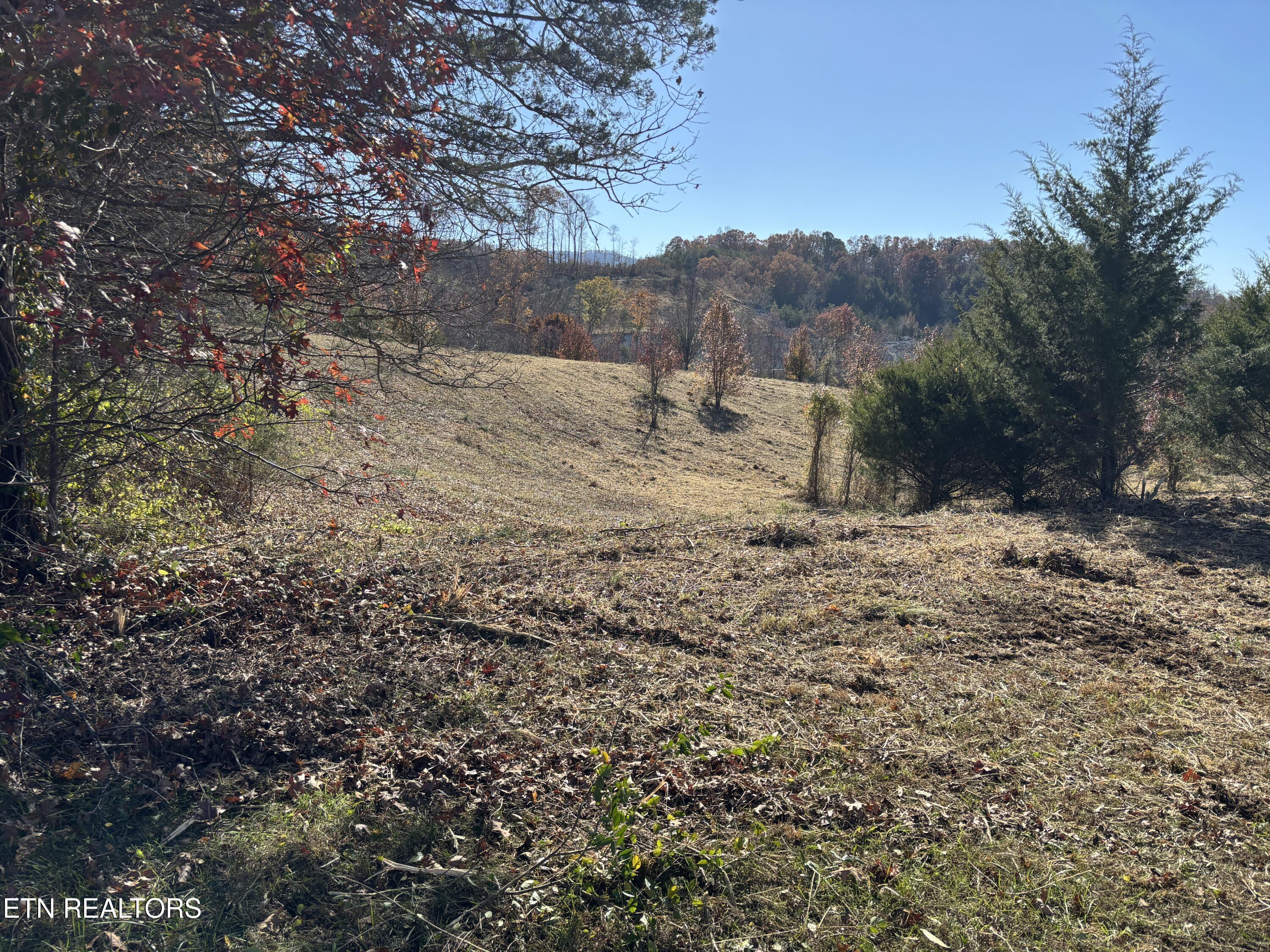 Image 3: 02