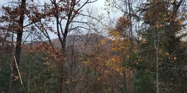 Lot 21 Hickory Tree St
