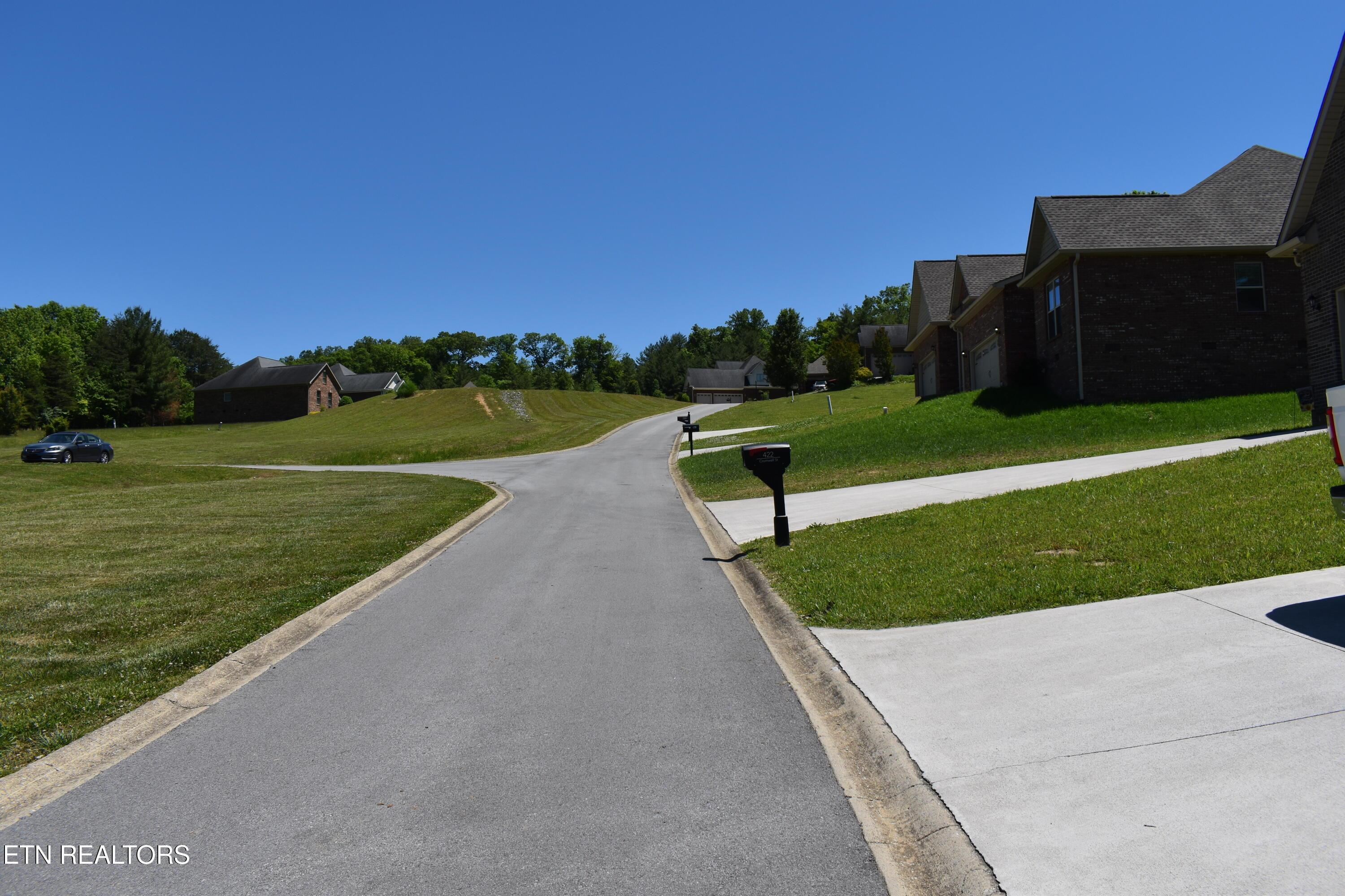 Image 3: DSC_0001