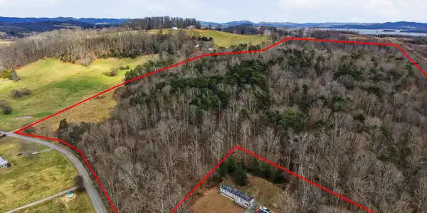 58.5 Acres Greenlee Rd