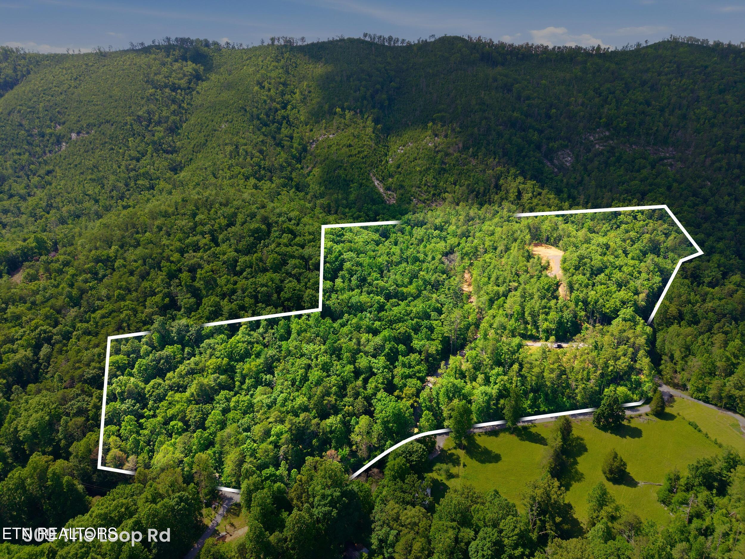 Image 1: 1_909_the_loop_rd_0001 - property line