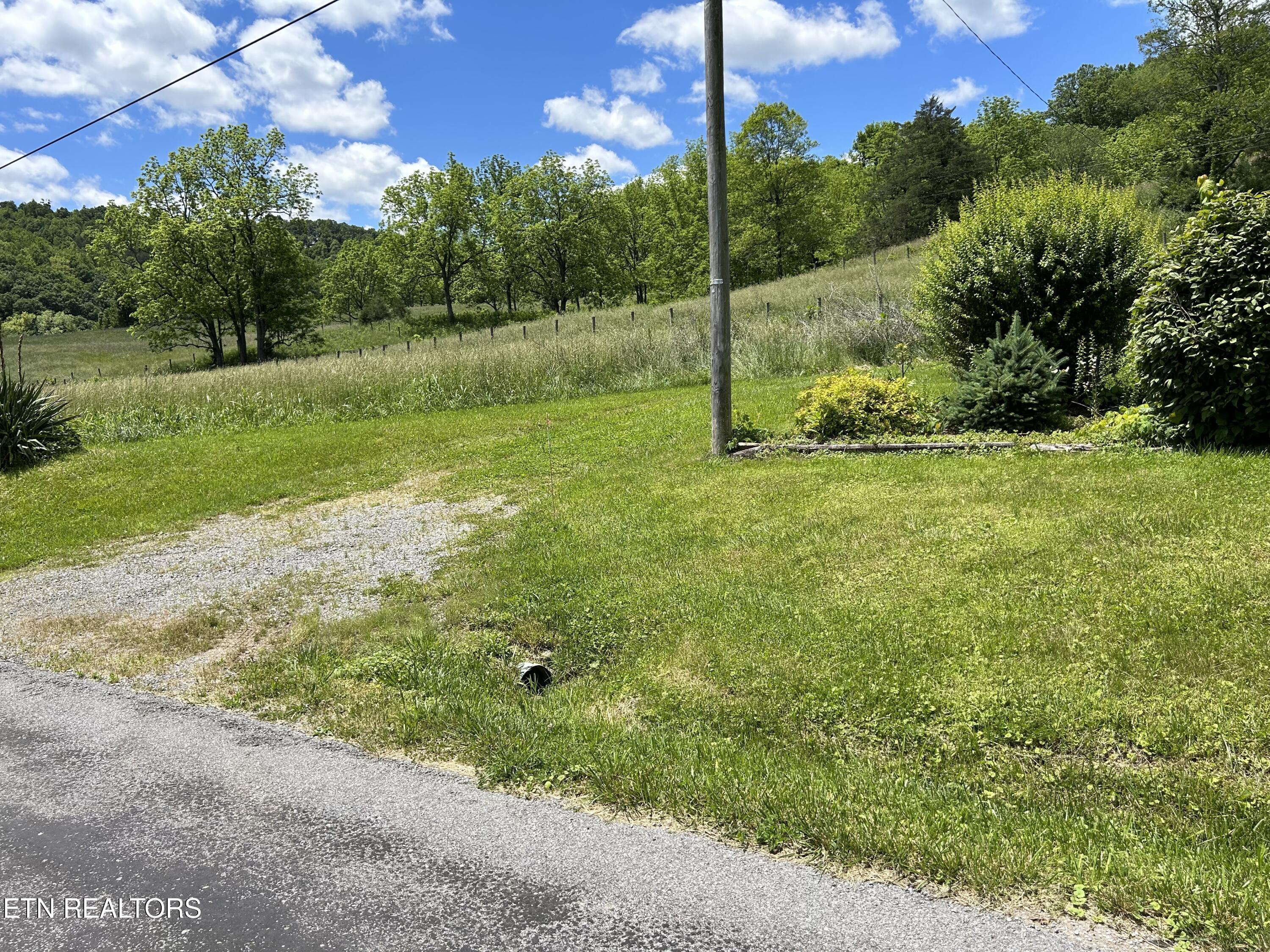 Image 2: 24B31F39-6059-4116-92E1-92D4562E7E7C