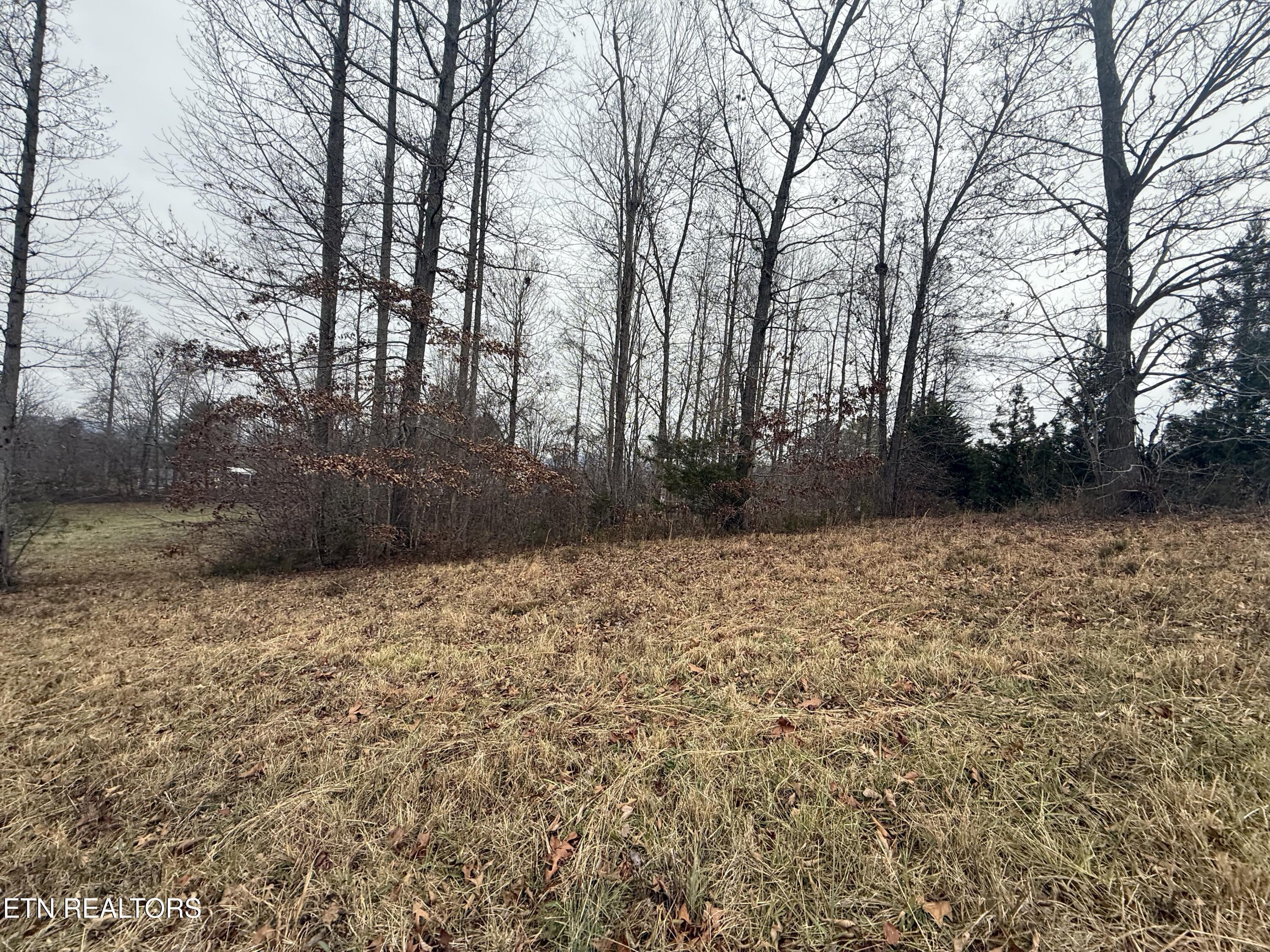 Image 4: IMG_3405
