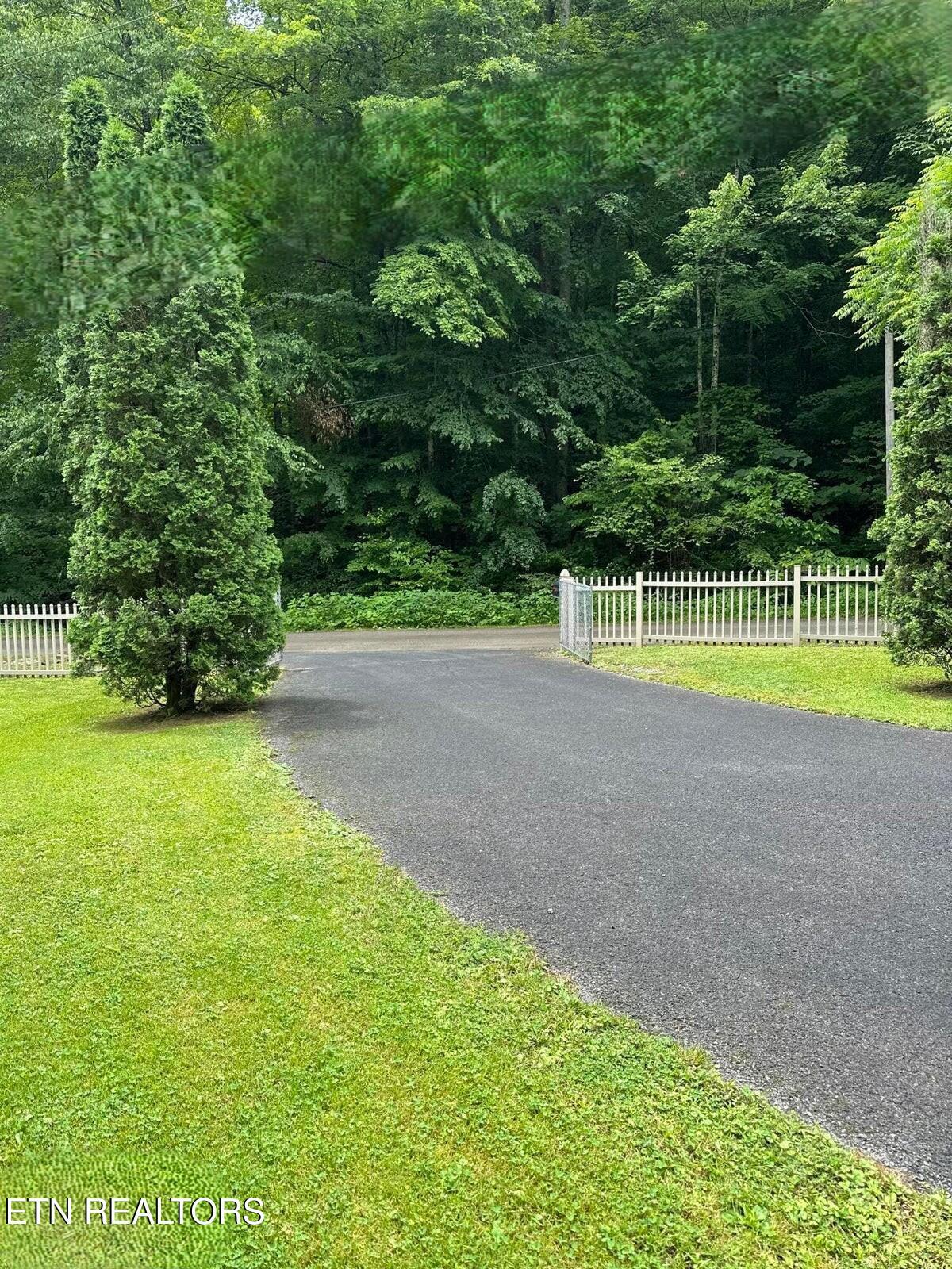 Image 4: driveway2026