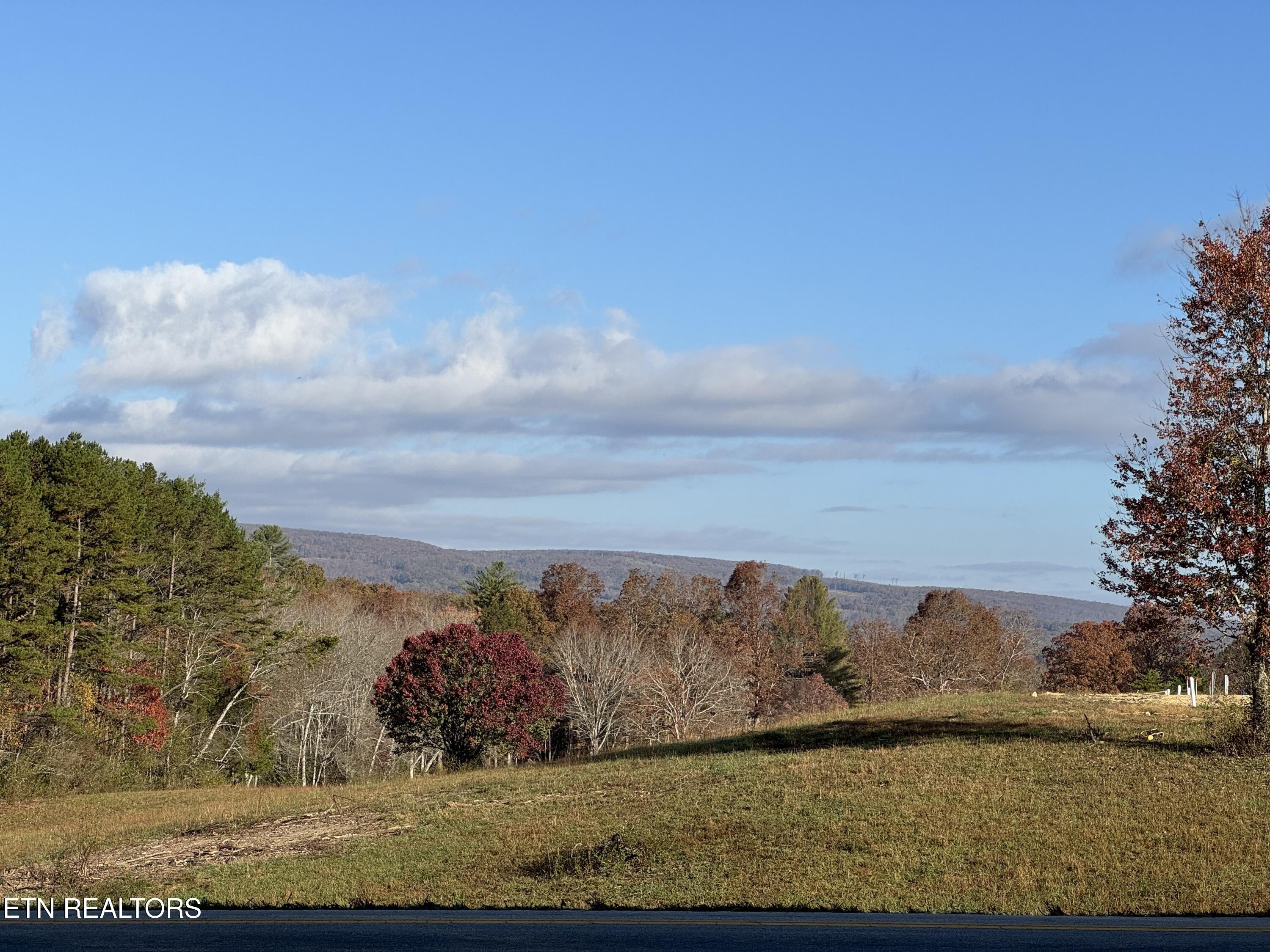 Image 3: IMG_5257