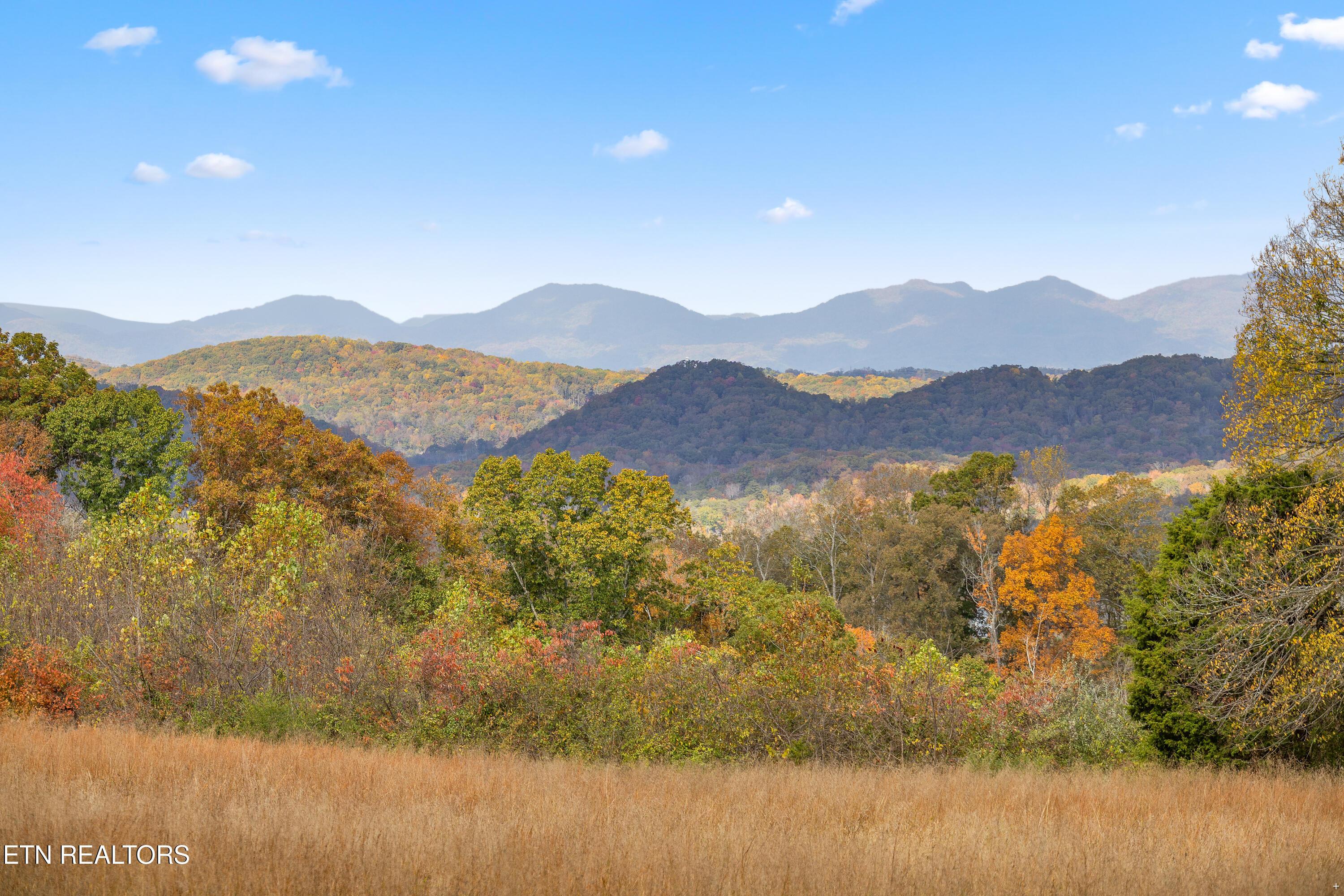 Image 2: Positive Perceptions-2