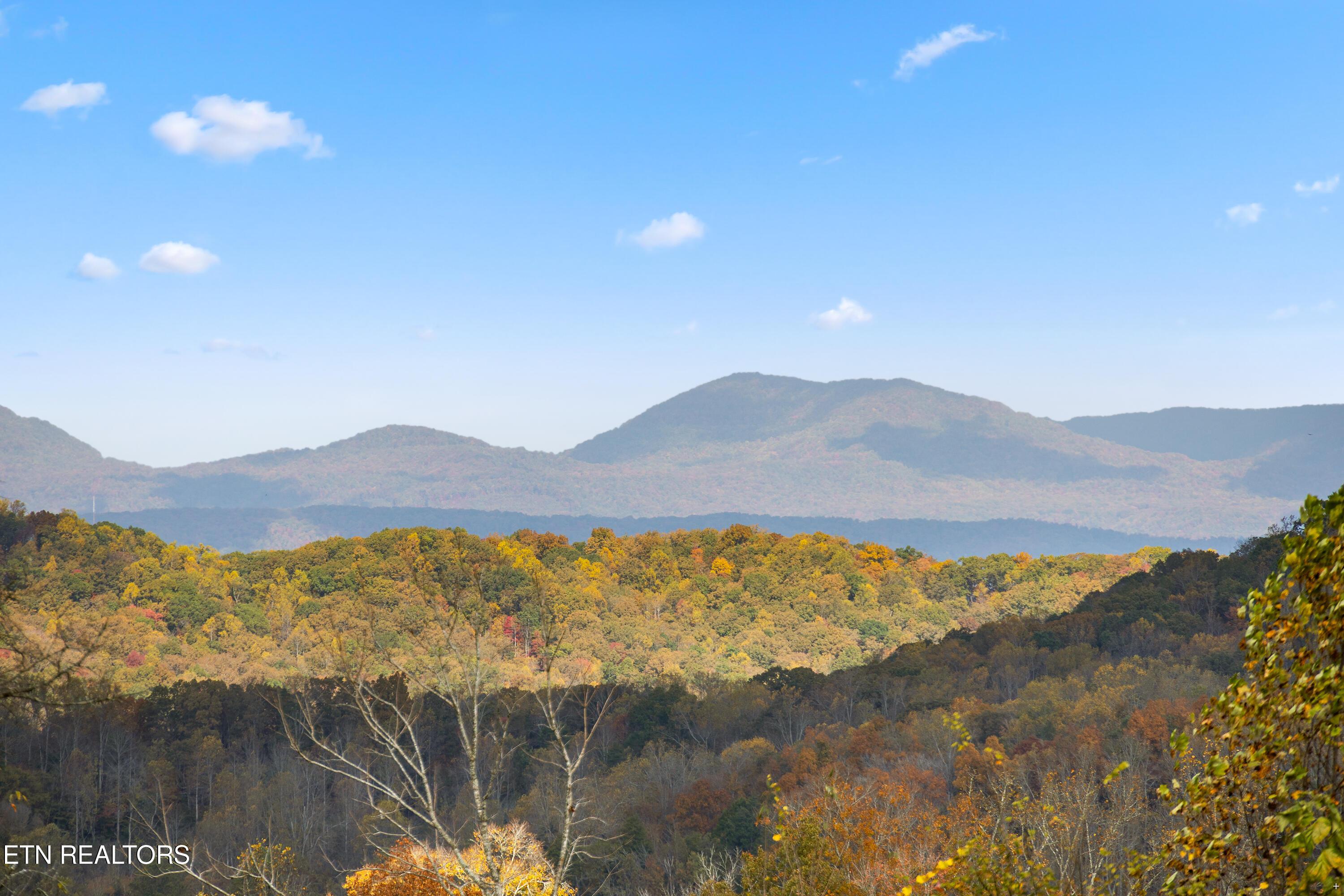 Image 3: Positive Perceptions-6