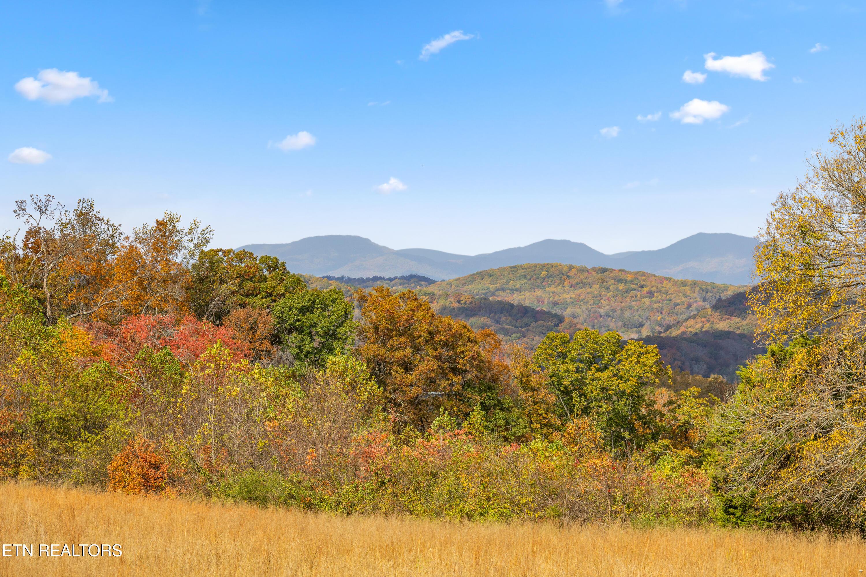 Image 4: Positive Perceptions-5