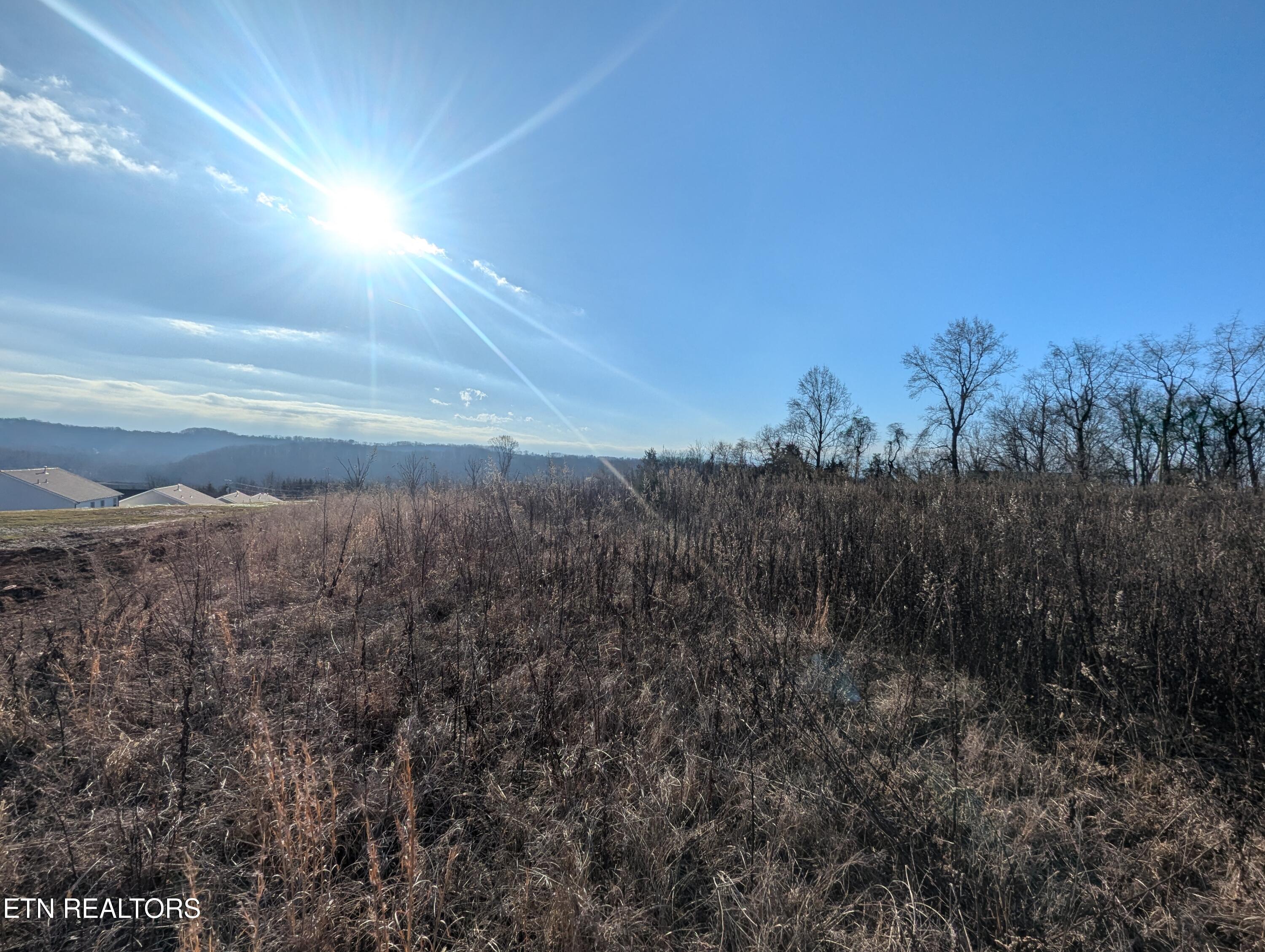 Image 3: PXL_20250204_143935974
