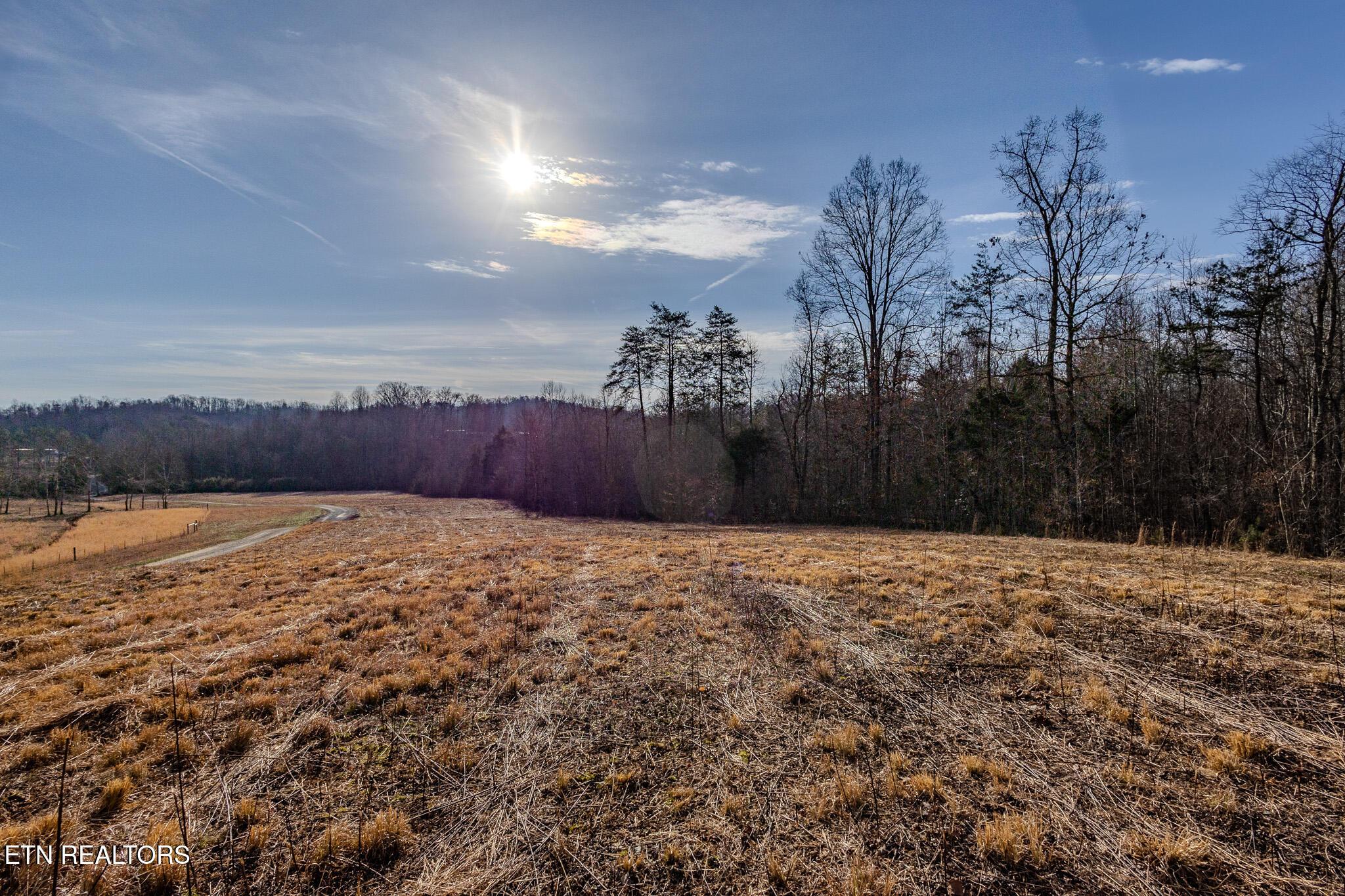 Image 3: Pasture