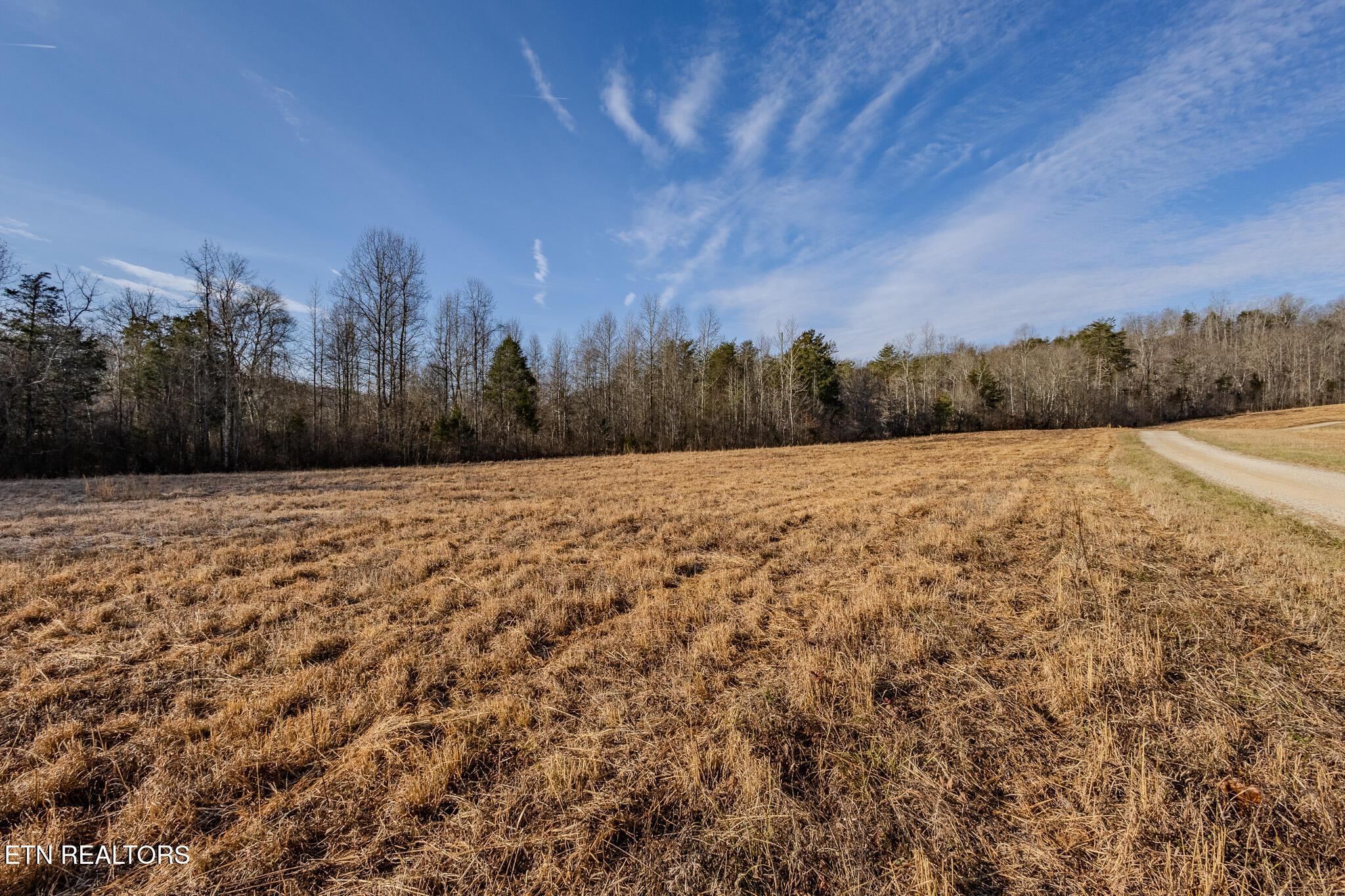 Image 4: Pasture