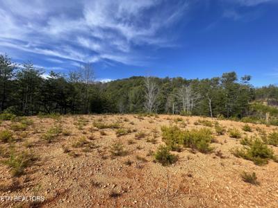 Lot 36 Bullet Mountain Drive
