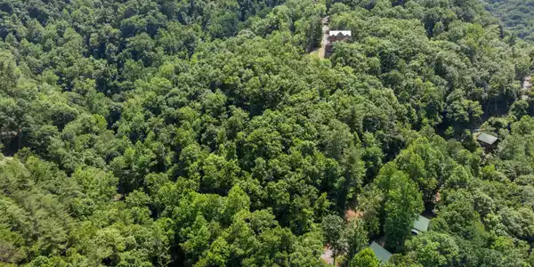 Image 3: DJI_0236
