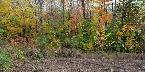 Whitman Hollow Rd