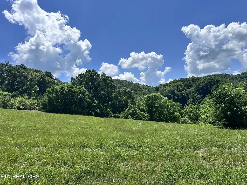 Image 1: Lot 161R