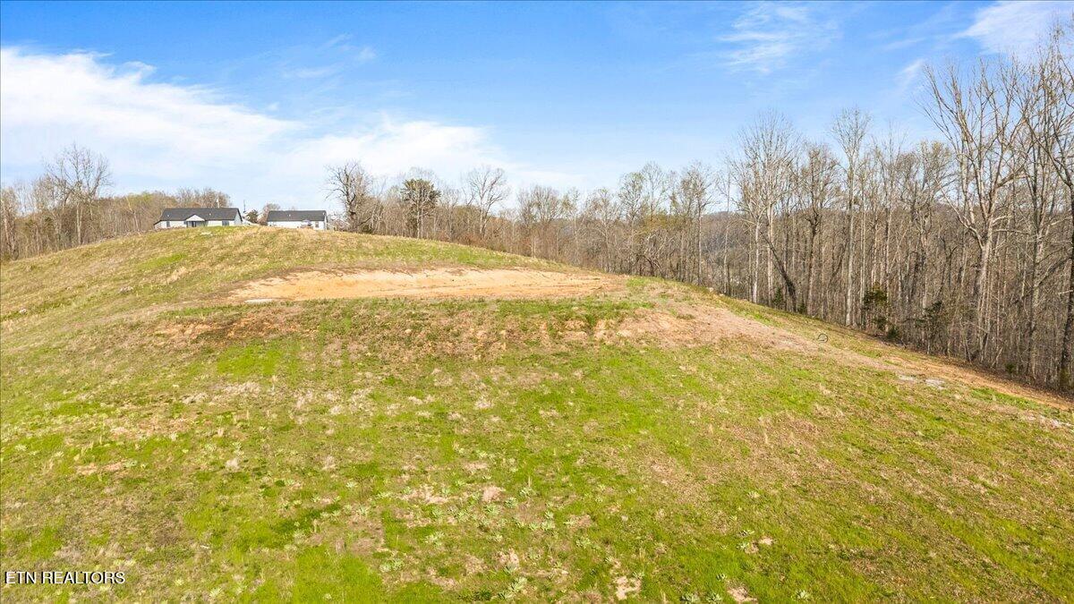 Image 4: Graded-Homesite-Buildable-Land