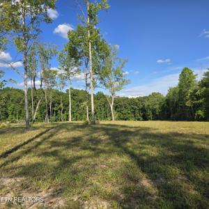 80+/- AC Red Hill Rd